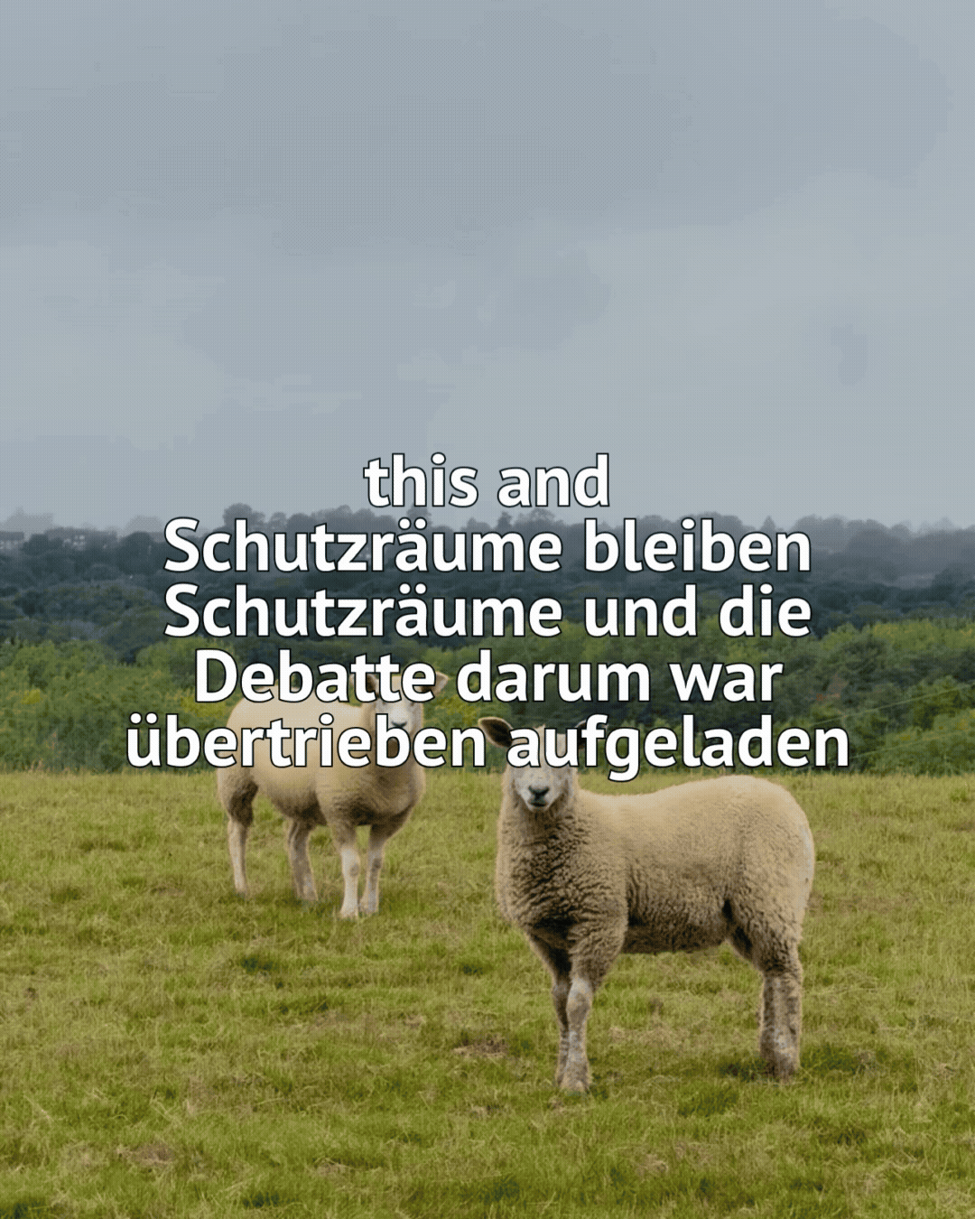 this and Schutzräume bleiben Schutzräume und die Debatte darum war übertrieben aufgeladen