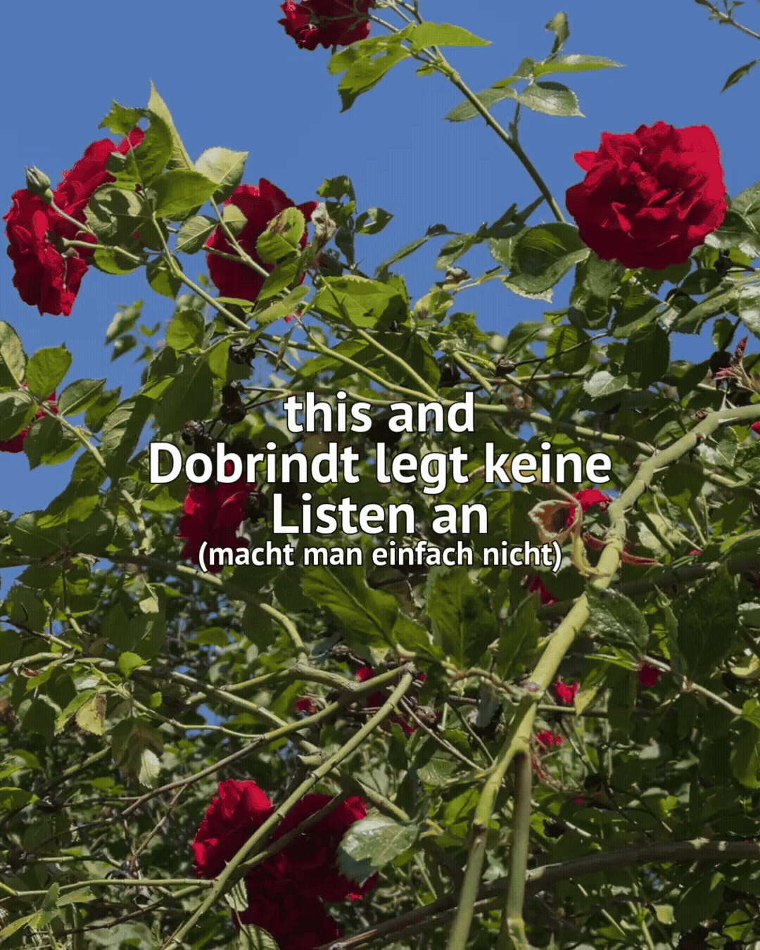 this and Dobrindt legt keine Listen an (macht man einfach nicht)