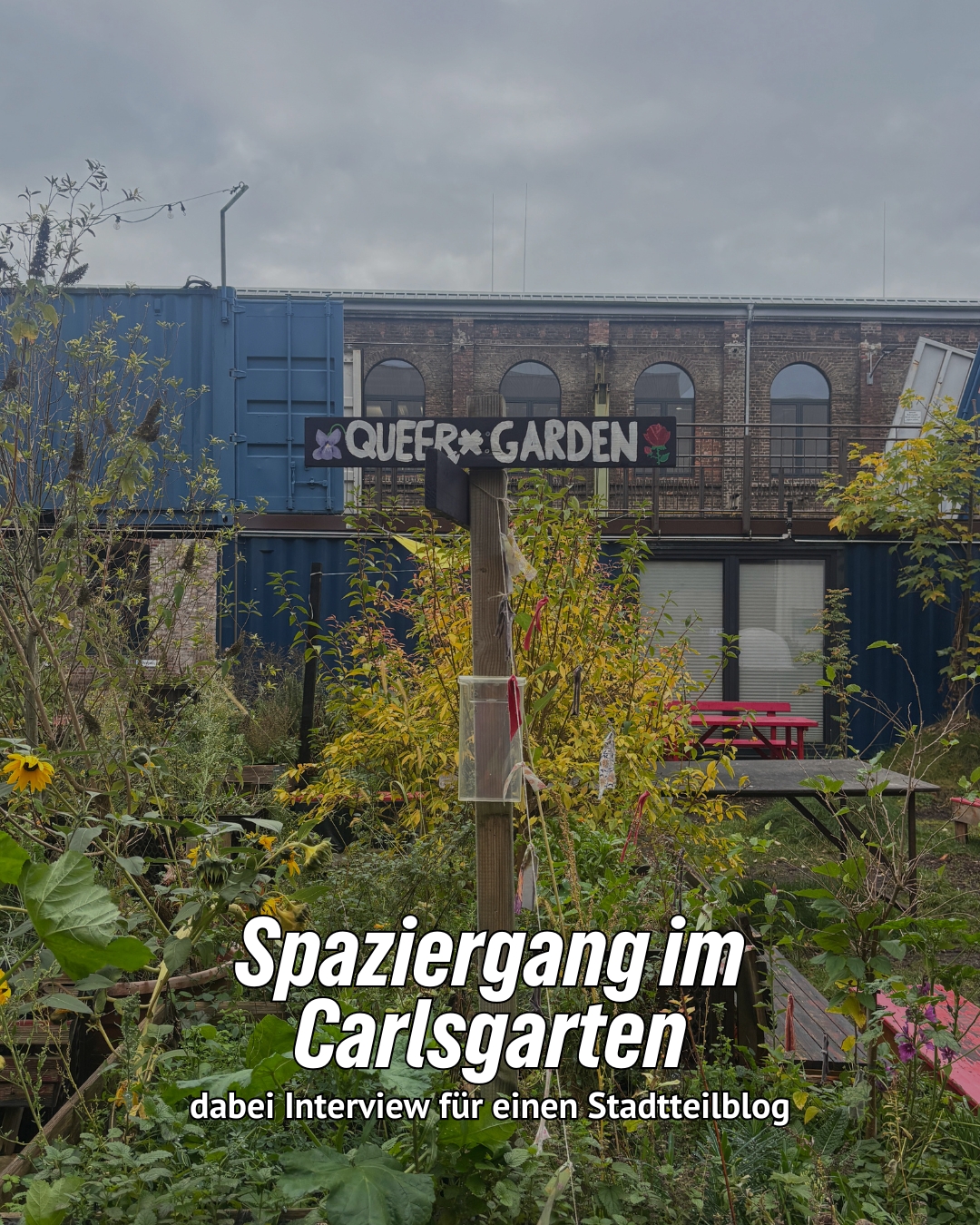 Bild des CarlsGarden in Köln. Text: "Spaziergang im Carlsgarten - dabei ein Interview für einen Stadtteilblog"